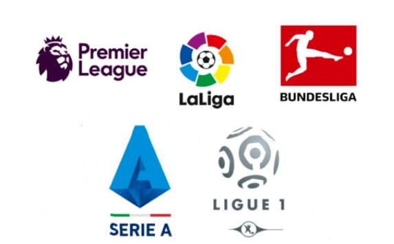 不仅让大家 不仅让大家